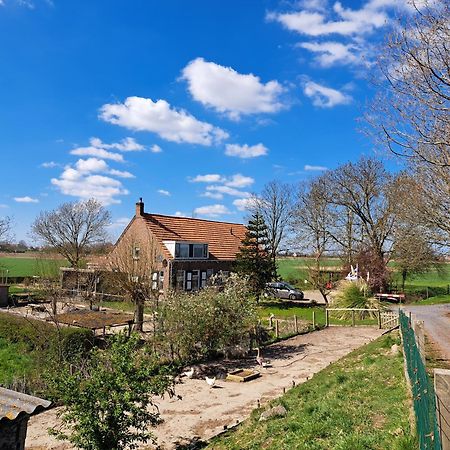 Bie Oans Oefje Villa Lewedorp ภายนอก รูปภาพ