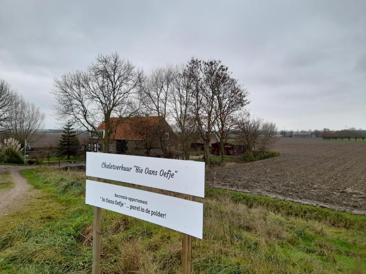 Bie Oans Oefje Villa Lewedorp ภายนอก รูปภาพ