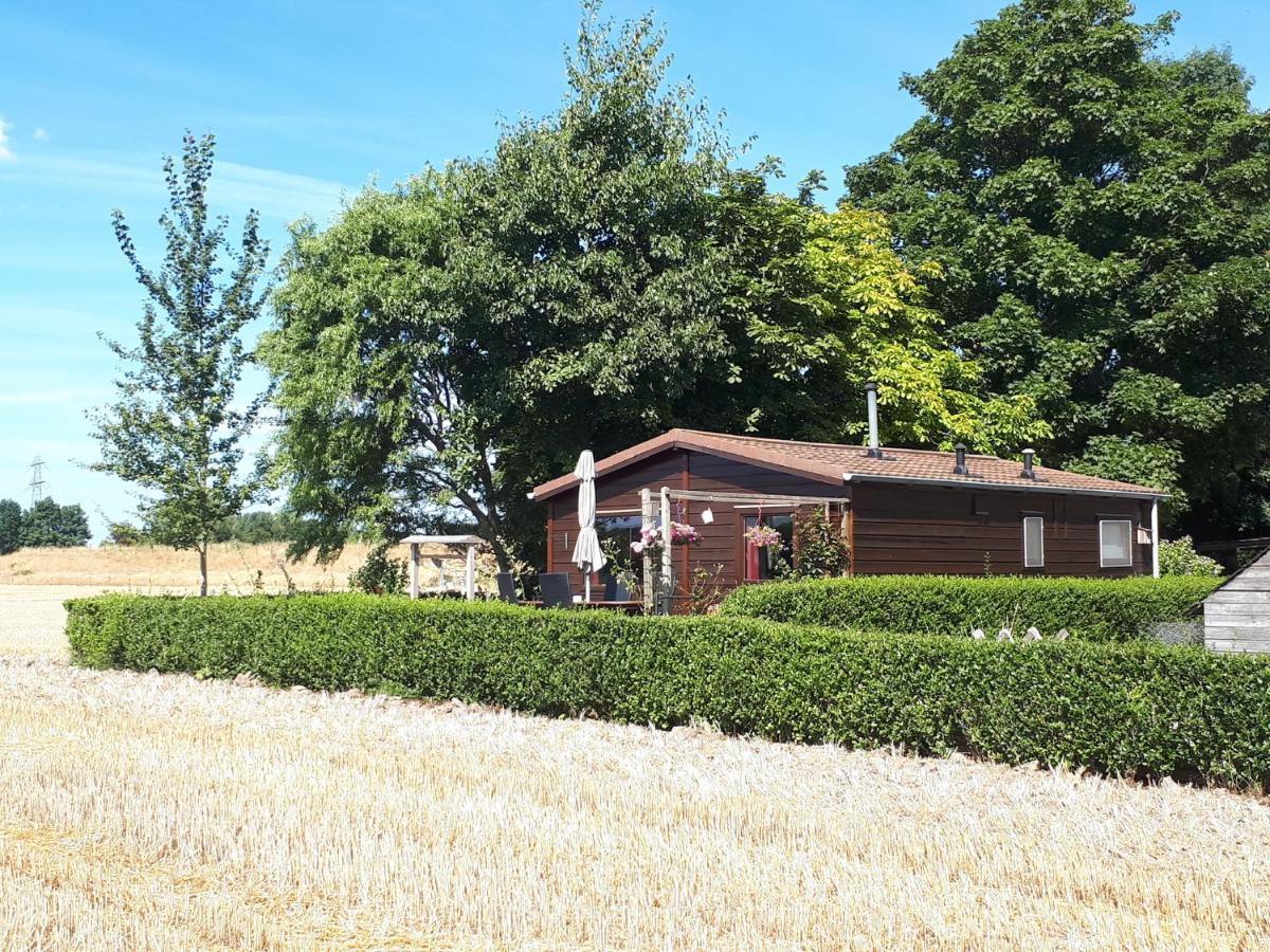 Bie Oans Oefje Villa Lewedorp ภายนอก รูปภาพ